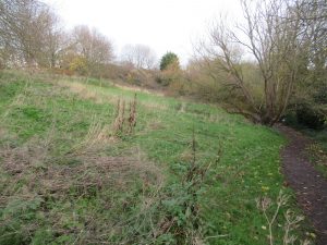Stakesby Vale (3) - Unlit path