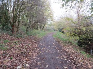 Stakesby Vale (4) - Approaching footbridge