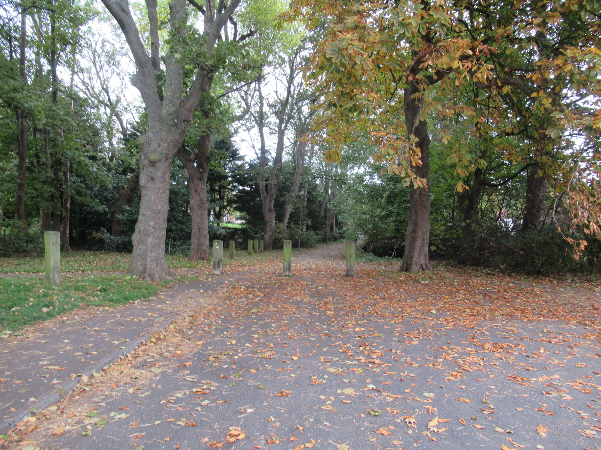 View from Byland Road