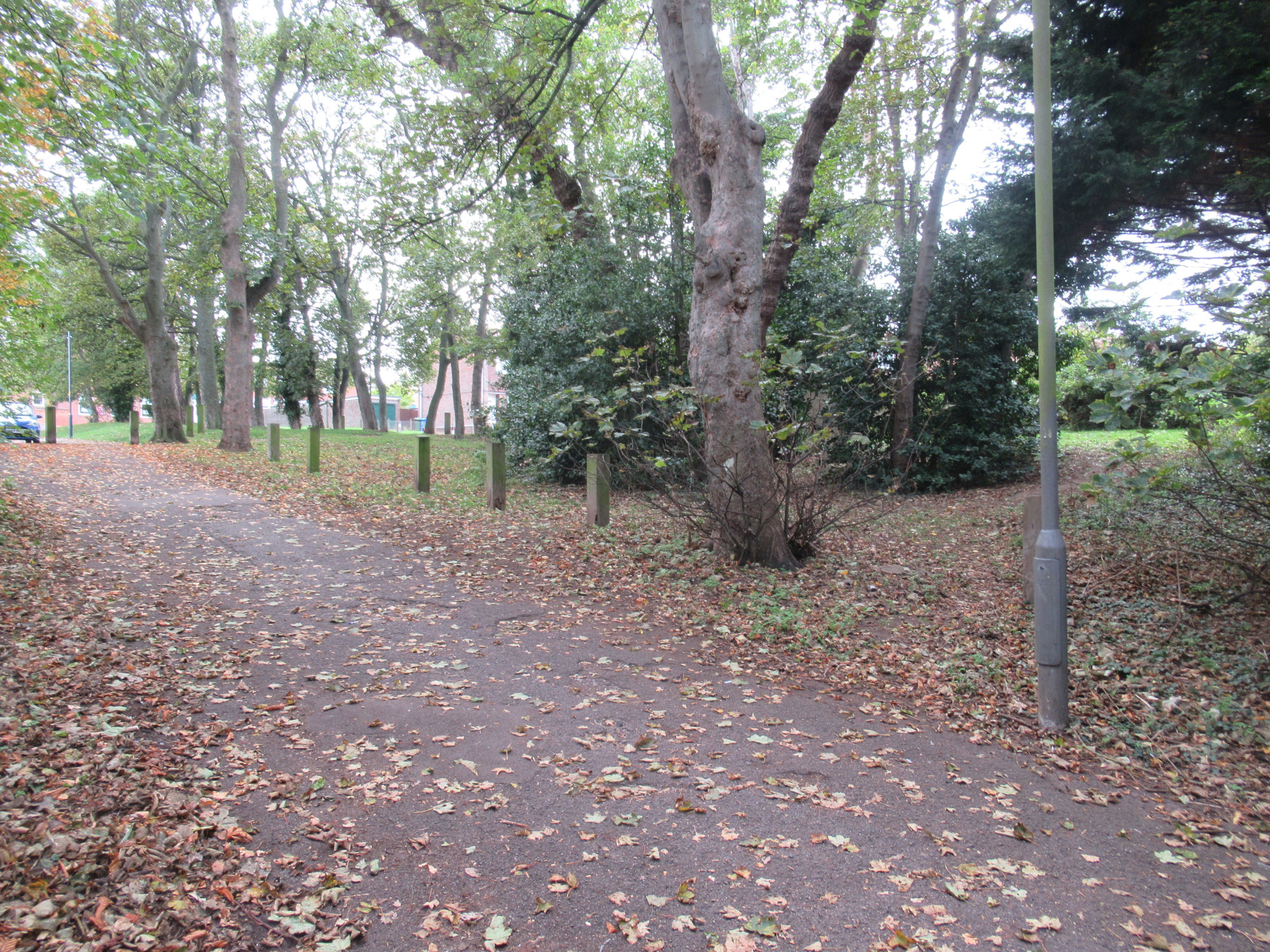 View towards Byland Road entrance